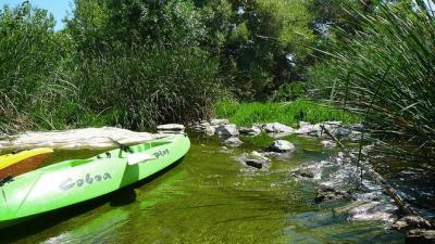 I Kayaked The Part Of The Los Angeles River That Actually Looks Like A River