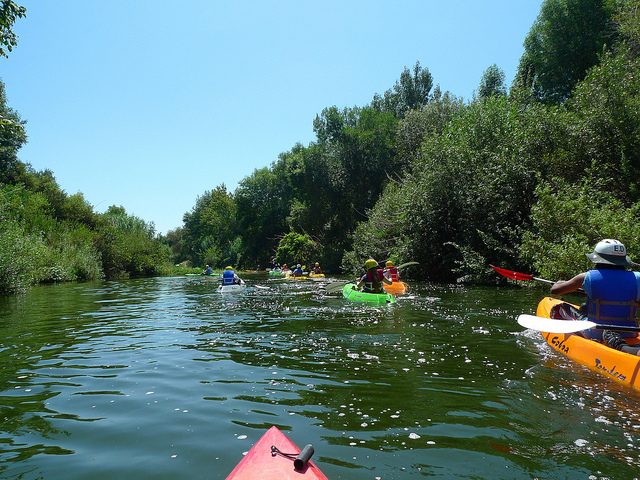I Kayaked The Part Of The Los Angeles River That Actually Looks Like A River