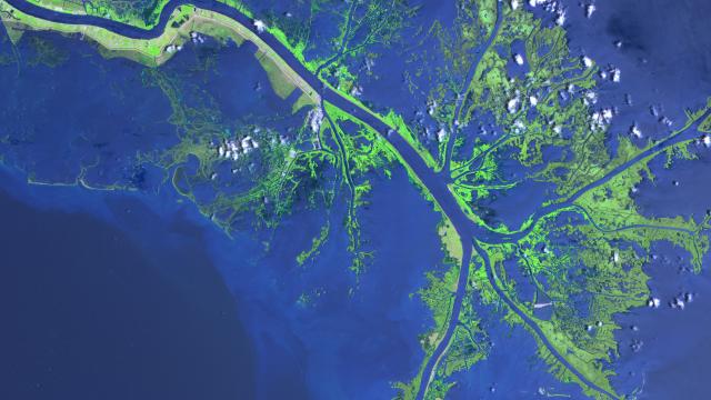 Pruning The Mississippi River Could Protect New Orleans From The Next Katrina