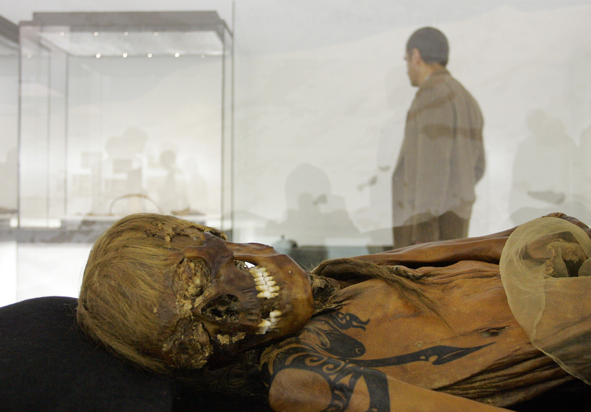 Soviet Bombers And Scythian Mummies: The Archaeology Uncovered By Climate Change