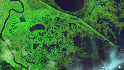 New Orleans’ Marshes Are Still Recovering From Katrina
