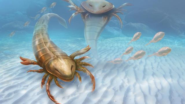 170cm Long Sea Scorpion Proves The Ancient Oceans Were A Terrifying Place