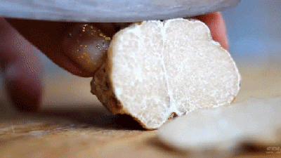 This Is The Only Mushroom In The World That Tastes Sweet Like Honey
