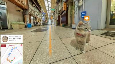 In Case You Want To Prowl Around Japan From The Point Of View Of A Cat 