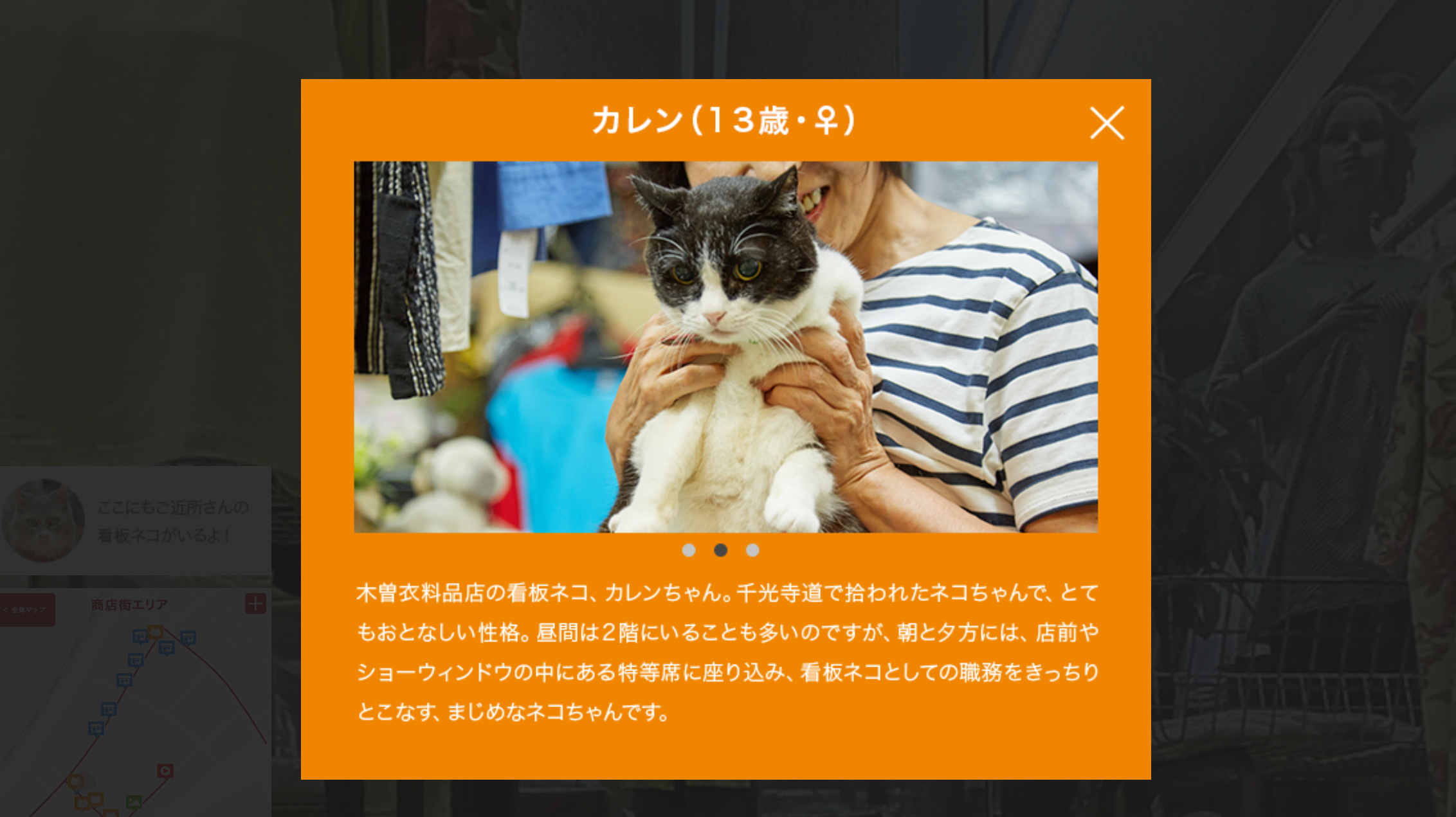 In Case You Want To Prowl Around Japan From The Point Of View Of A Cat 