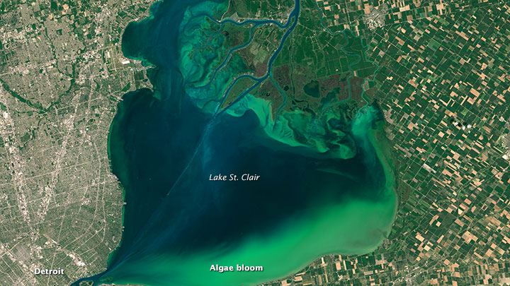Get Lost In The Swirling Green Seas Of A Massive Algae Bloom