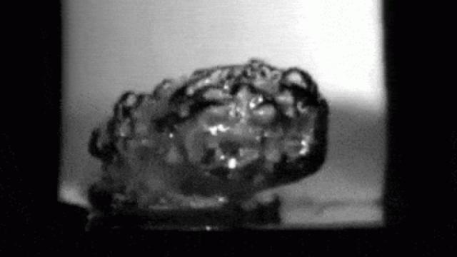 Watch What Happens To This Drop Of Water When It Hits Hot Oil