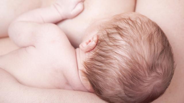 The Totally Insane Way That Breast Milk Works