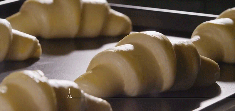Watching Baking Bread Rise Is Almost Pornographic
