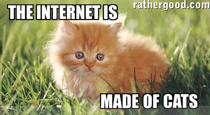 Why Cats Rule The Internet Instead Of Dogs