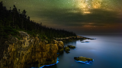 Behold The Ghostly Glow Of A Bioluminescent Coastline Under The Milky Way
