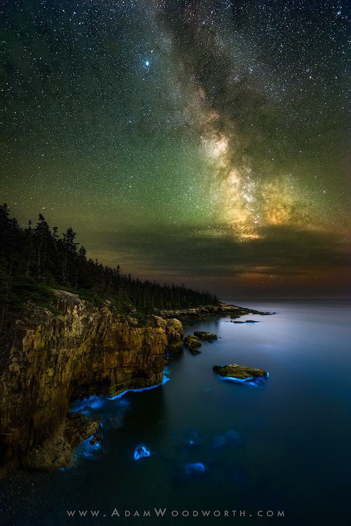 Behold The Ghostly Glow Of A Bioluminescent Coastline Under The Milky Way