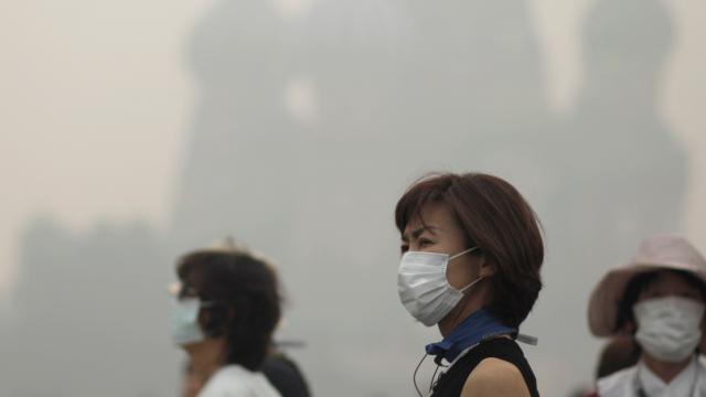 Smog Causes More Than 3 Million Premature Deaths A Year Worldwide