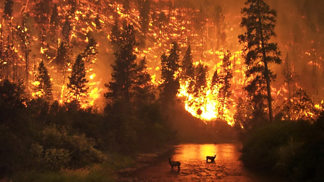 Reading List: Massive Wildfires Are Only Going To Get Worse
