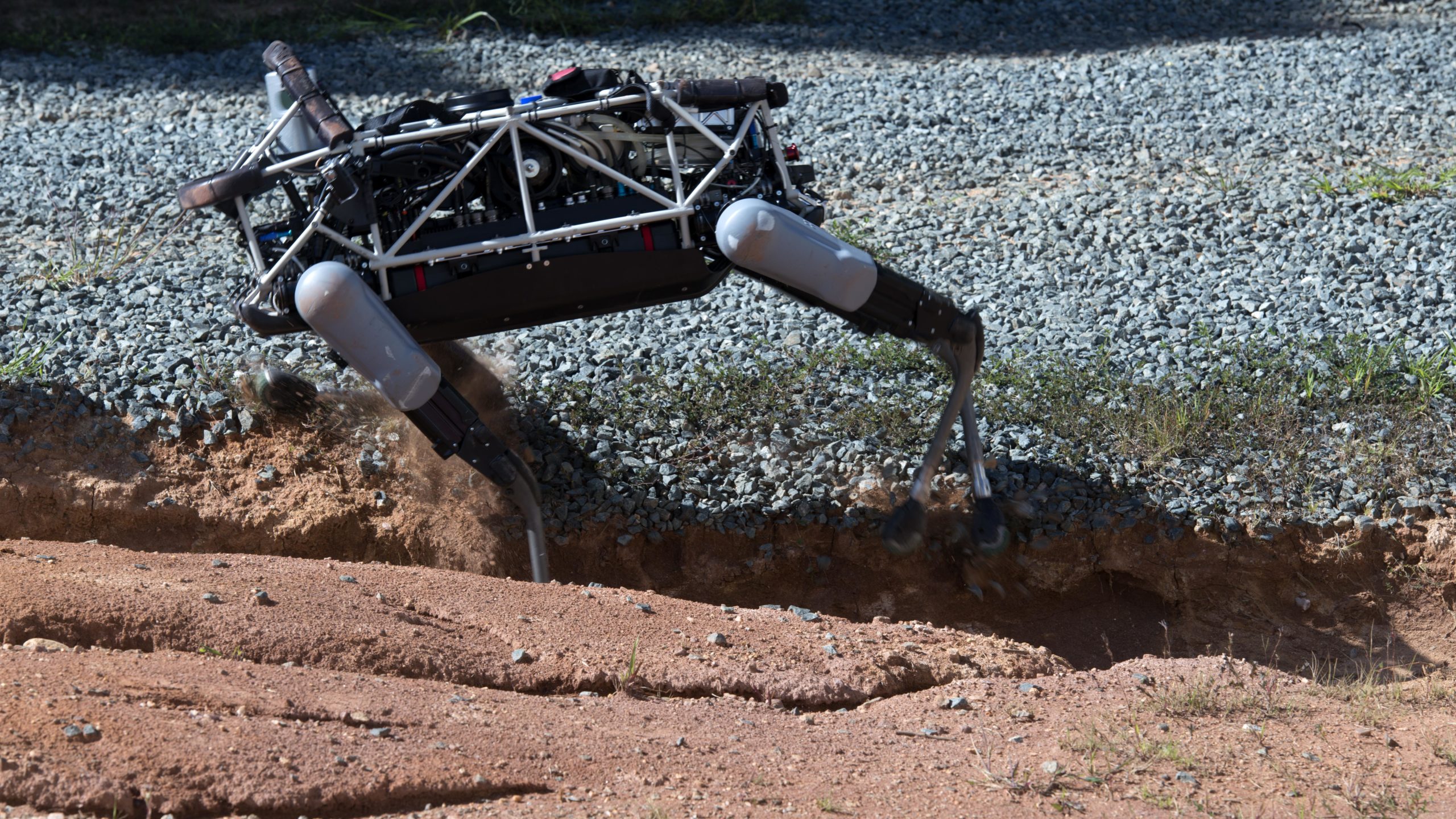 US Marines Are Sending This Robotic Dog Into Simulated Combat