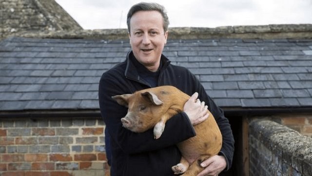 The Internet Is Having A Field Day Over David Cameron’s Pig Sex Act Allegations