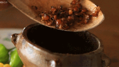 This Hot Sauce Is Made With Giant Ants And Termites