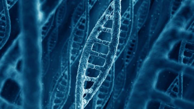 The Pentagon’s Research Arm Is Putting Money Into DNA Manufacturing