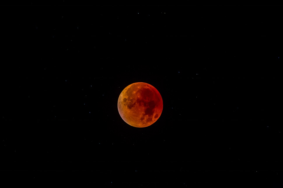 34 Amazing Photos Of The Super Blood Moon