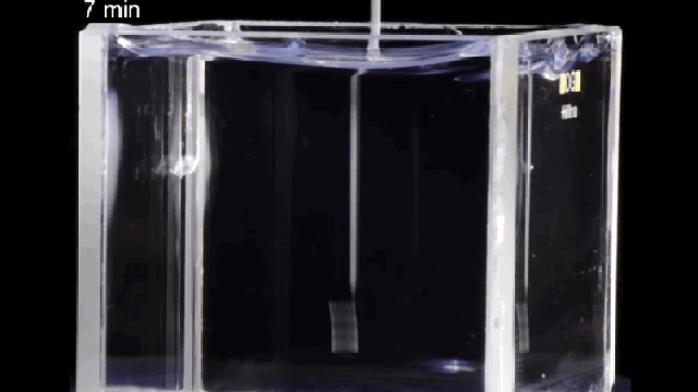 This 3D Printer Creates Structures In Gel And Could Help Build Organs