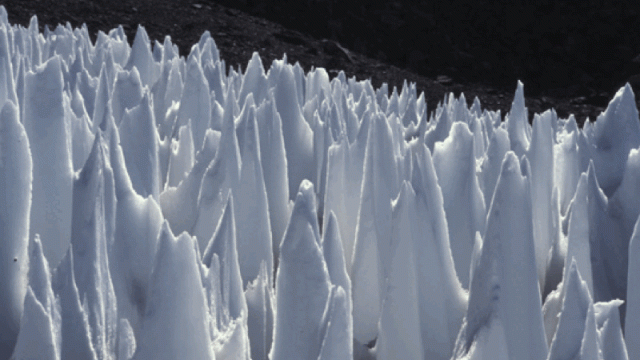 We’ve Solved The Longstanding Mystery Of These Spiky Ice Pillars  