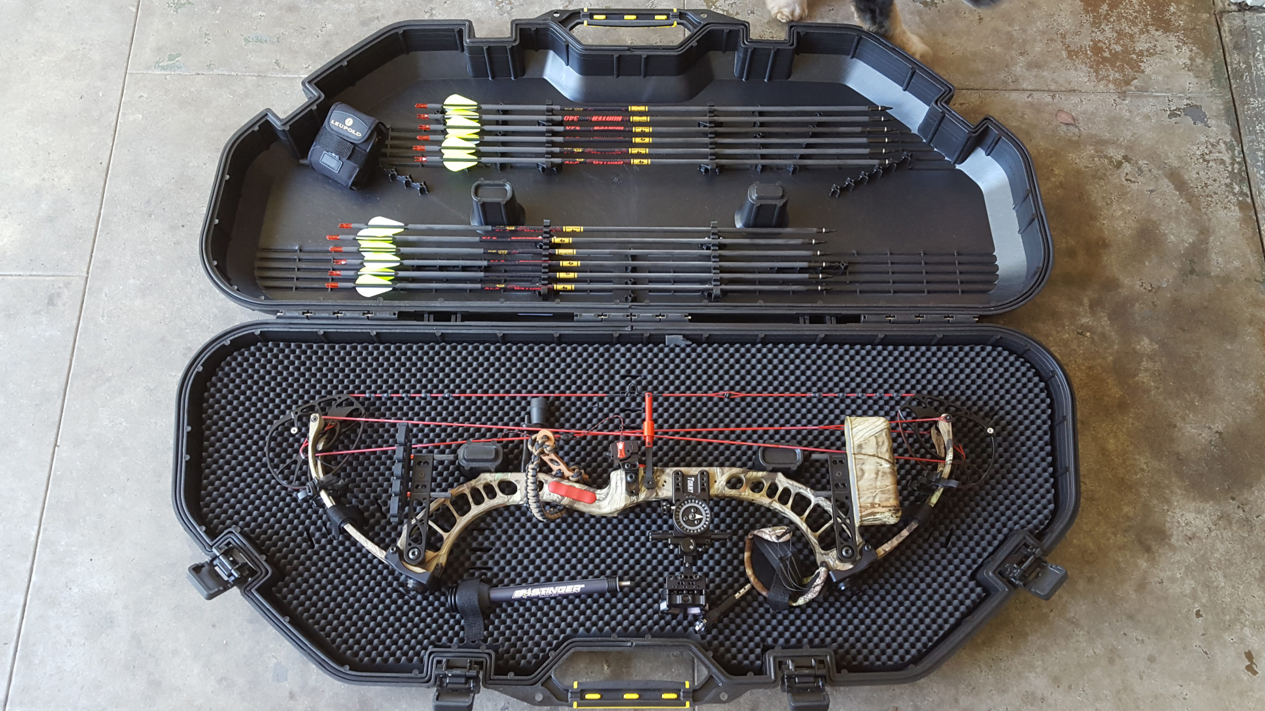 How Compound Bows Work And What You Need To Know To Shoot One