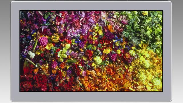 This Crazy Screen Squeezes An 8K Display Into A 17-Inch Panel