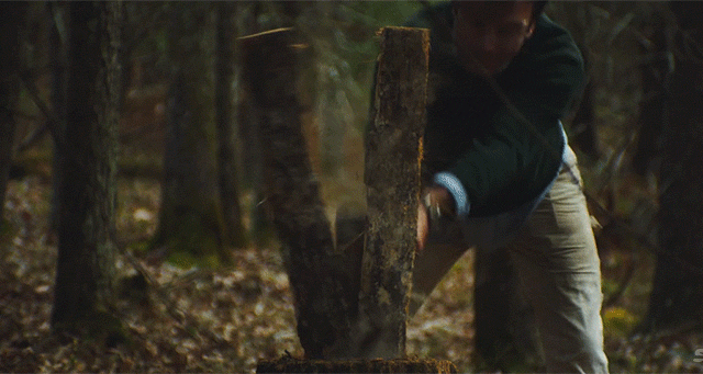 Cutting Down A Tree To Make A Stool In The Woods Is Beautifully Peaceful