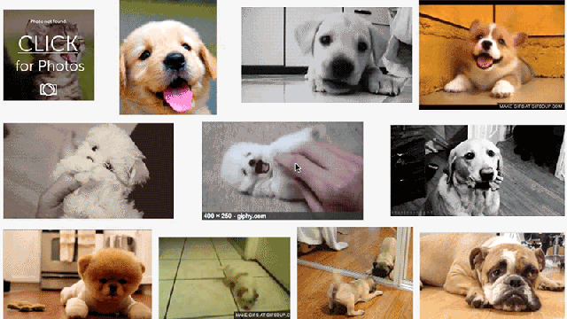 How To Animate GIFs In Your Google Search Results