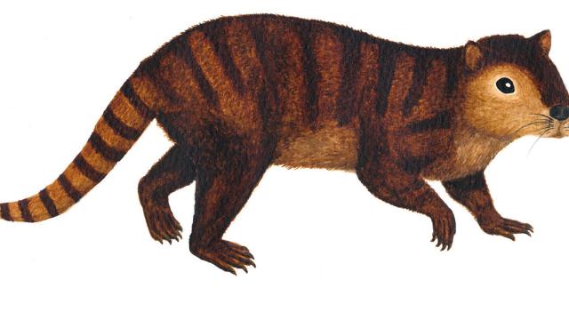 The ‘Prehistoric Beaver’ That Helped Mammals Inherit Earth