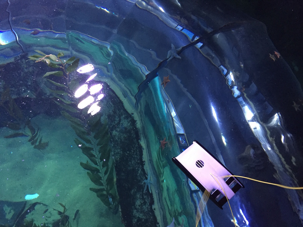 New, Ultrafast Swimming Drones Are Tiny Ocean Explorers