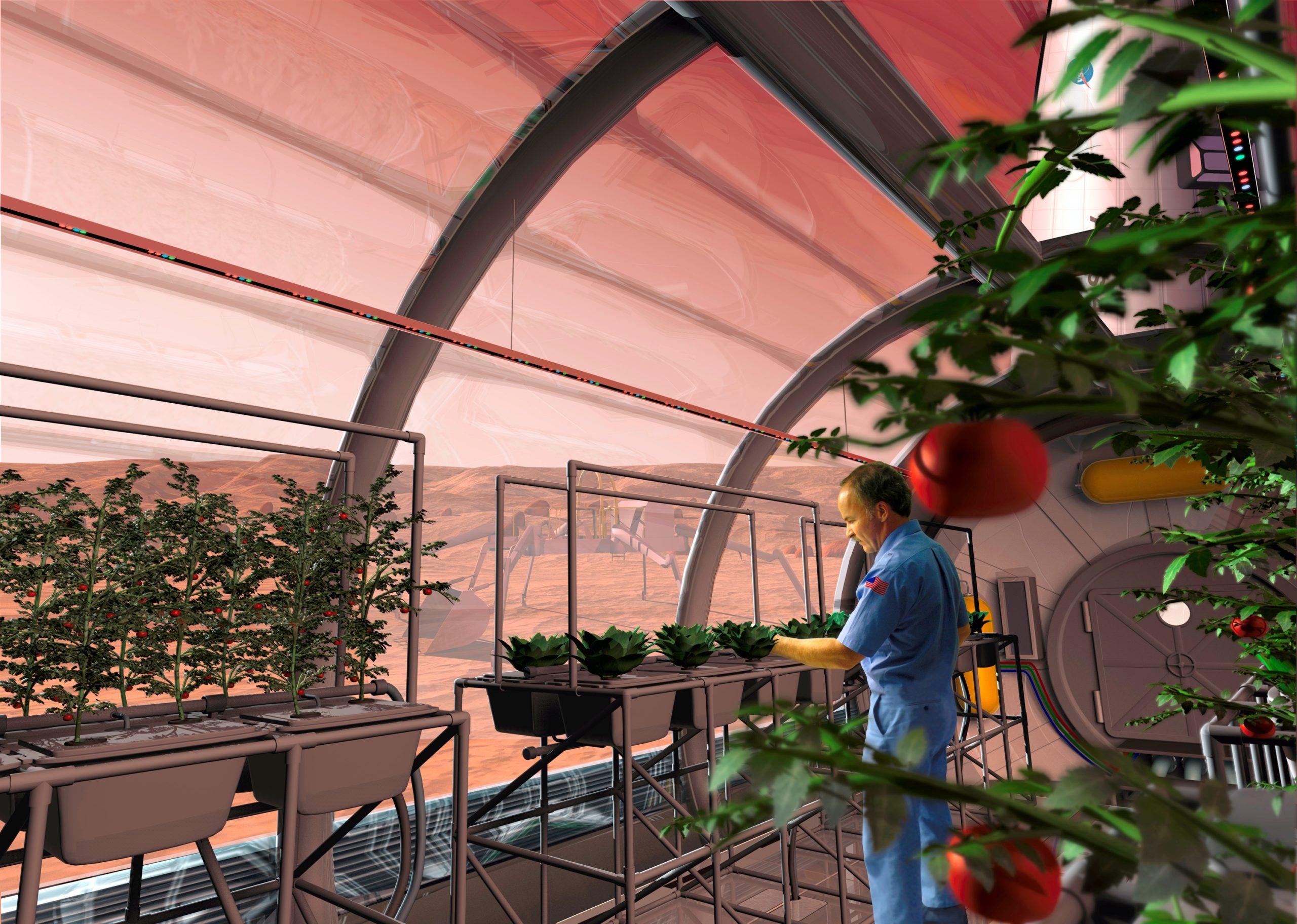We Asked A NASA Botanist To Help Us Design A Better Farm On Mars Than The Martian’s 