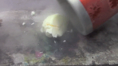 What Happens When You Crack An Egg Into Liquid Nitrogen?