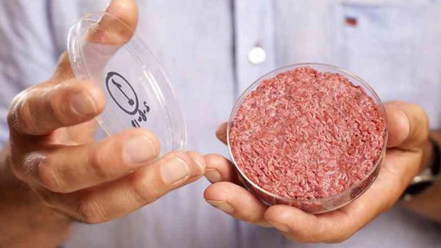 Scientists Say Lab-Grown Burgers Will Be Available To The Public In Five Years