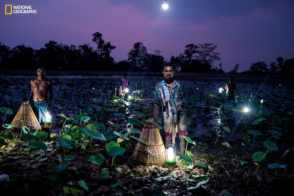 Five Striking Images Show How Solar Lanterns Are Transforming Life Off The Grid