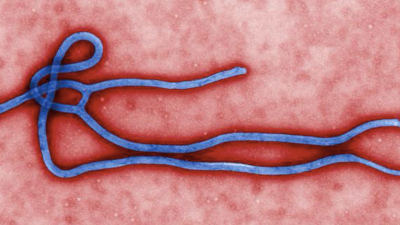 Turns Out The Ebola Virus Can Be Sexually Transmitted