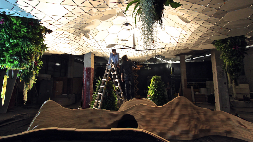 The Experimental Jungle Room Where NYC’s Underground Park Is Taking Root 