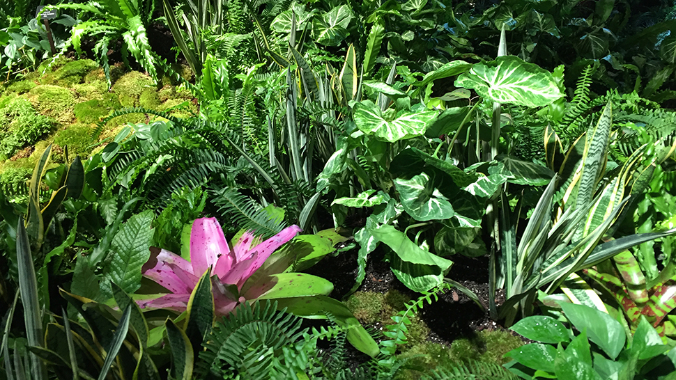 The Experimental Jungle Room Where NYC’s Underground Park Is Taking Root 