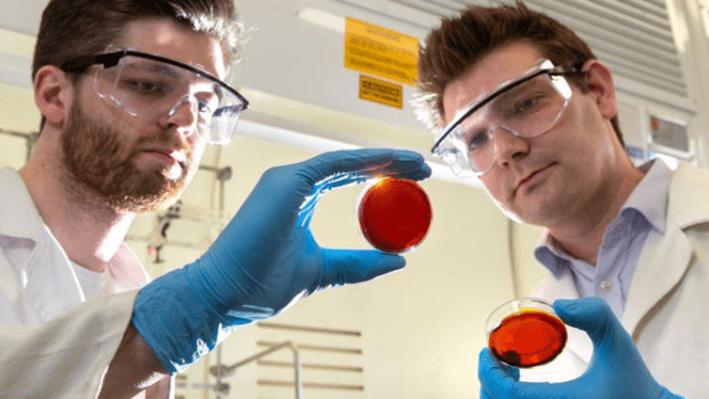 Material Made From Industrial Waste And Orange Peel Sucks Mercury Out Of Water