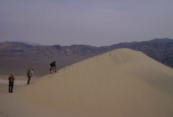 This Is Why Some Sand Dunes Sing