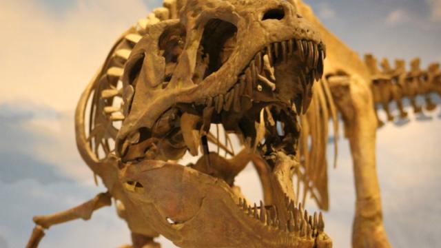 We Will Never Find All The Dinosaurs And Here’s Why