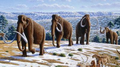 This Theory Of Why Mammoths Went Extinct Will Make You See The Earth In A Different Way