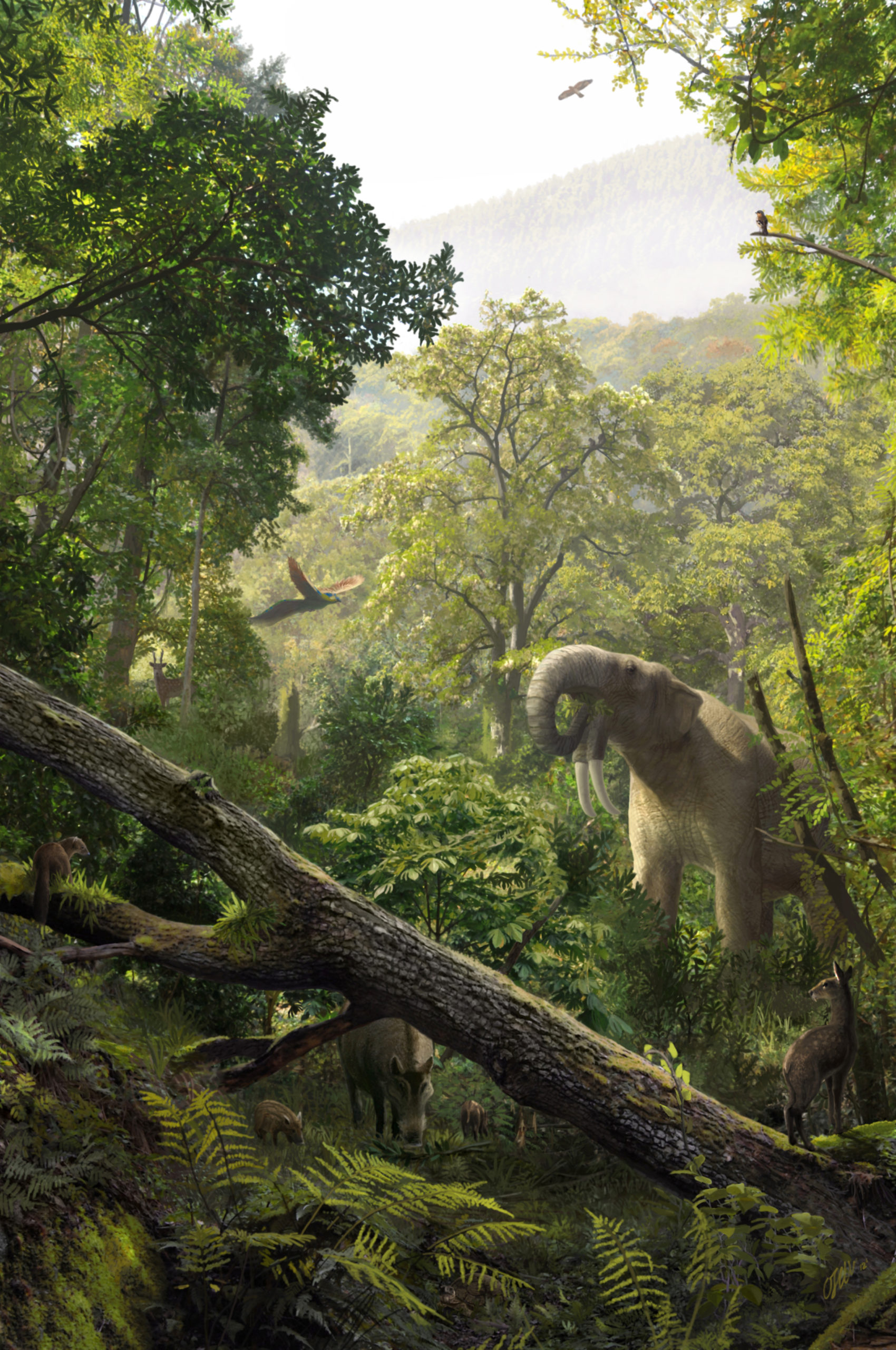 This Extinct Species Is Changing What We Know About Early Ape Evolution