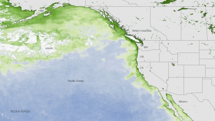 El Niño’s Algae Blob From Hell Is Poisoning US Seafood