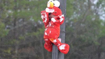 Watch A Stuffed Elmo Doll Get Totally Disintegrated By A Powerful Jet Engine