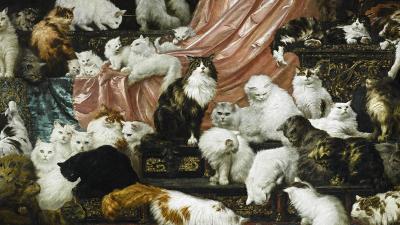 Think Cat Pics Are Worthless?  This One Sold For Nearly A Million Dollars