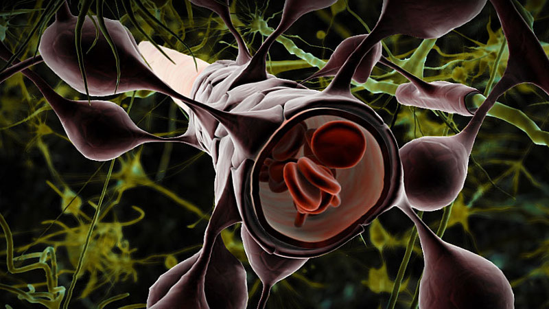 Ultrasound Helps Drugs Sneak Past The Blood-Brain Barrier 