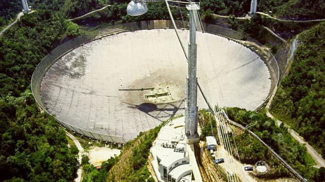 A Funding Battle Is Tearing The Arecibo Observatory Apart
