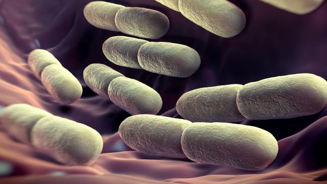 Your Gut May Be Home To An Entirely New Form Of Life