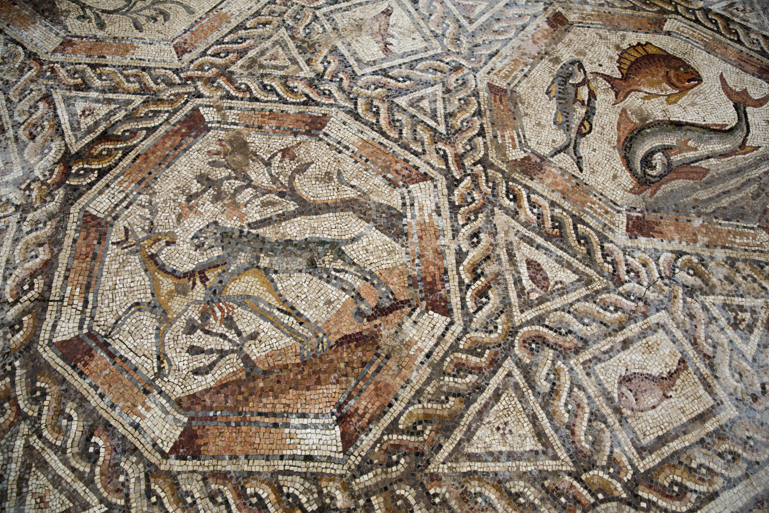 These Huge Roman Mosaics Were Hidden Under City Streets For 1700 Years 